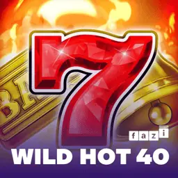 Žaidimo „Wild Hot 40“ viršelis iš twinsbet.lt